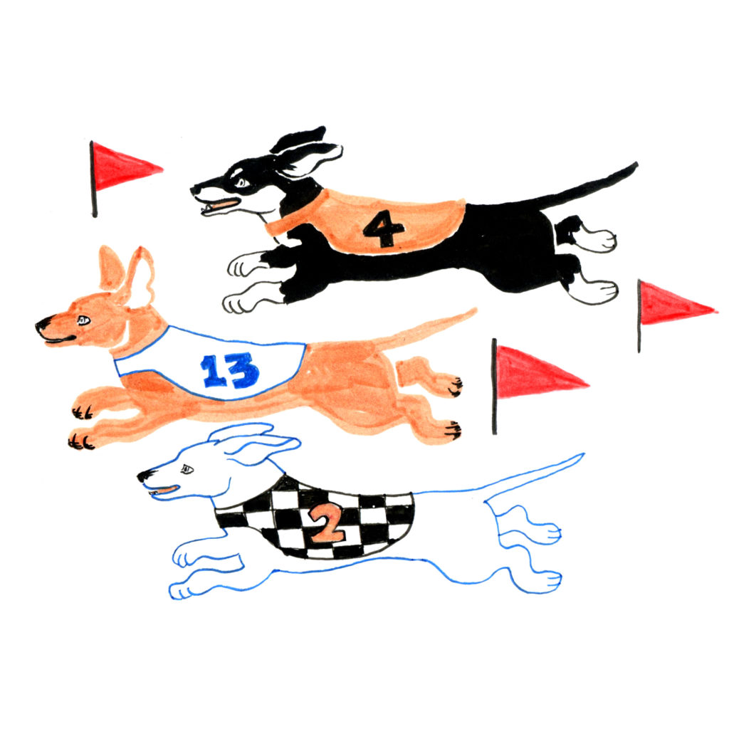 Buda Wiener Dog Races