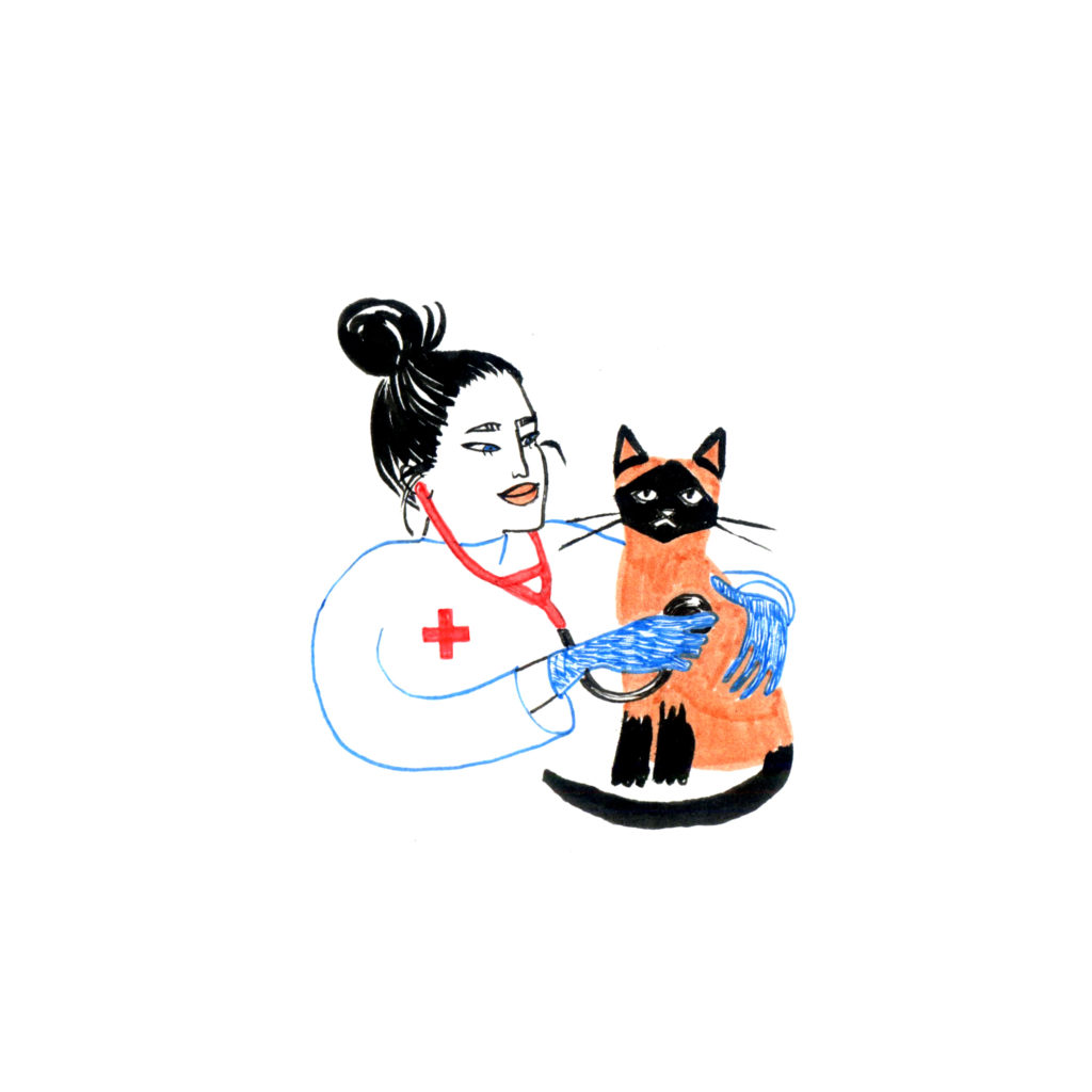 Austin pet-friendly city - women vet