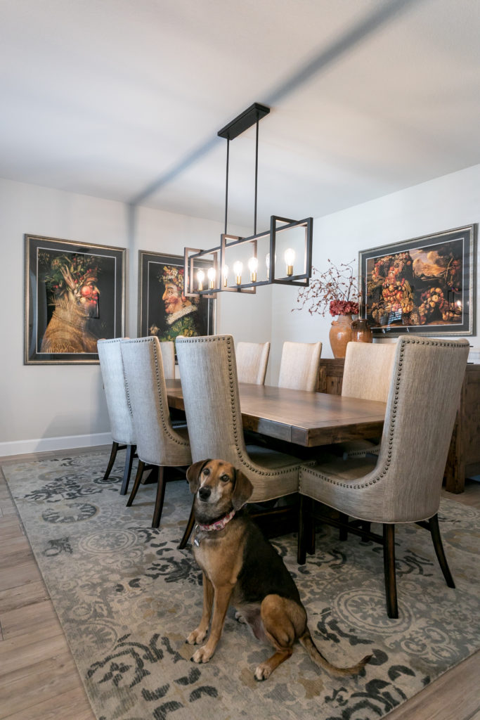 pet-proof your home - dog dining room 