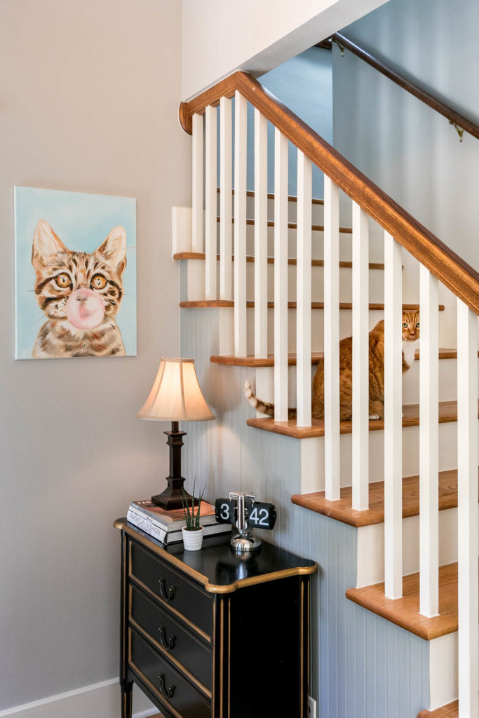 pet-proof your home - entry with cat