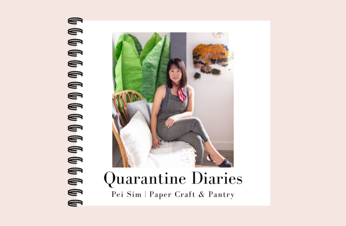 Quarantine Diaries - Pei Sim