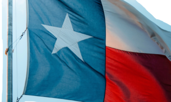 The Institute for Diversity and Civic Life - Austin Woman magazine - Texas flag