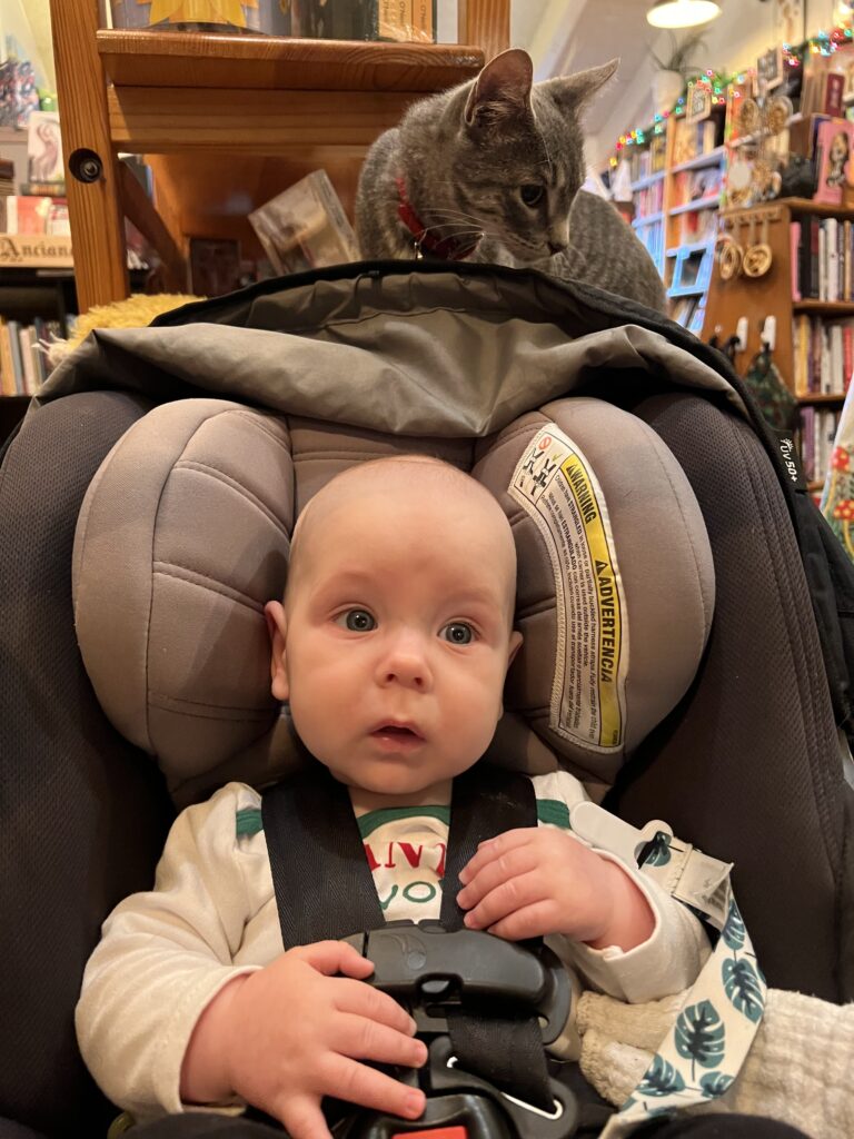 Photo of Betsy Blank's child in a baby carrier at Wonderland Books store with the store cat standing behind the baby carrier.