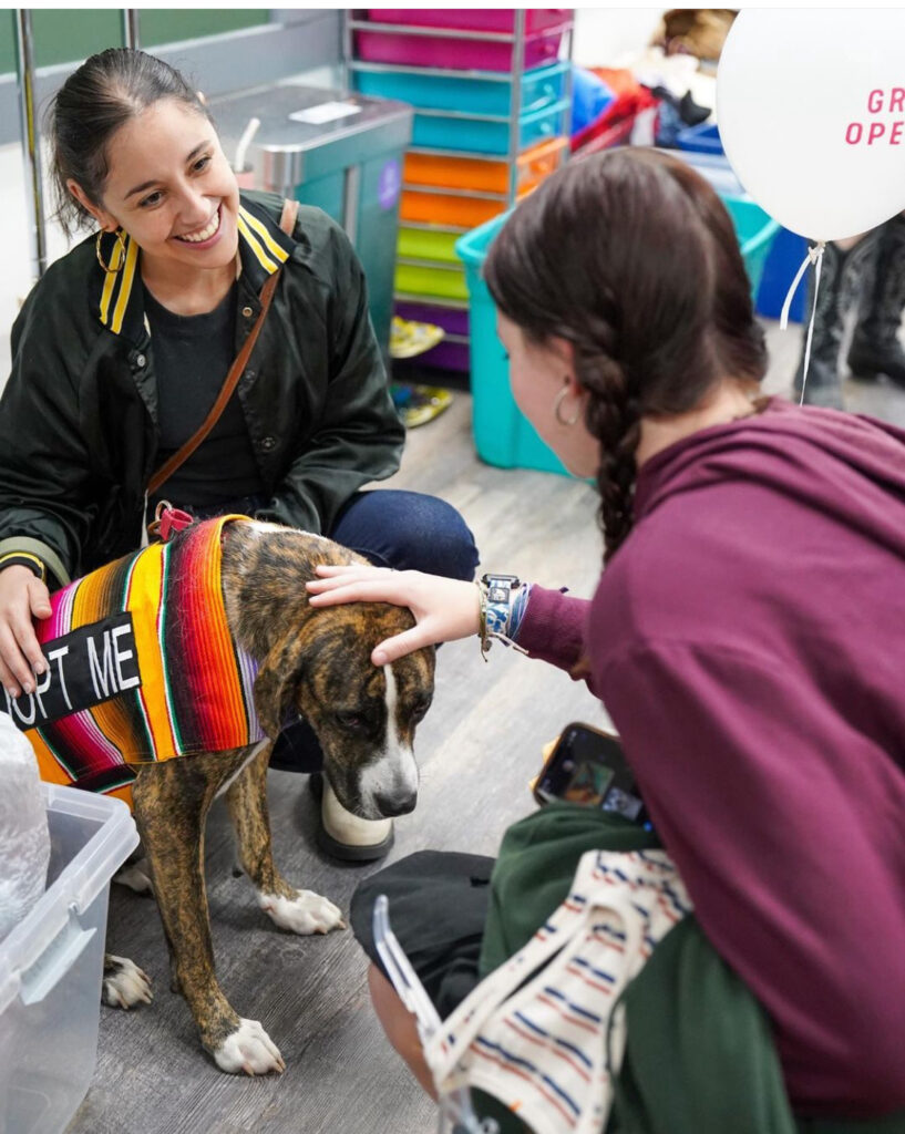 Photo of Halie Ramriez at store with foster dog wearing a vest that says "adopt me" as a second person walks up to pet the dog while she shops.